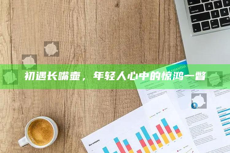 初遇长嘴壶，年轻人心中的惊鸿一瞥